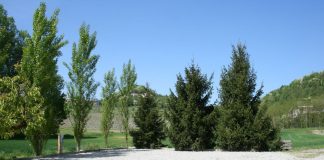 Area sosta camper Azienda agricola Olivetta