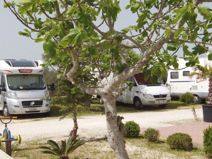 Camping Lilybeo Village