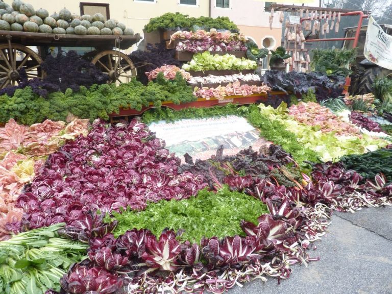 Festa del Radicchio e dei Sapori della Tradizione Veneta