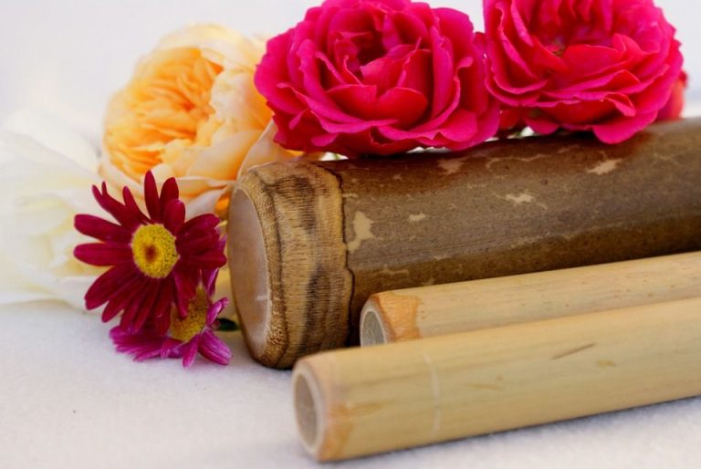 Zen-A Fiera Benessere