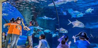 Carnevale 2018 a Gardaland SEA LIFE Aquarium