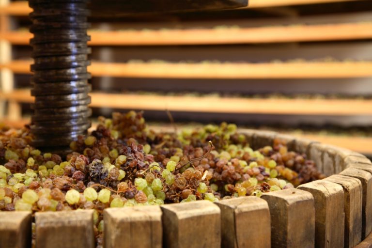 DiVinNosiola, quando il vino si fa santo