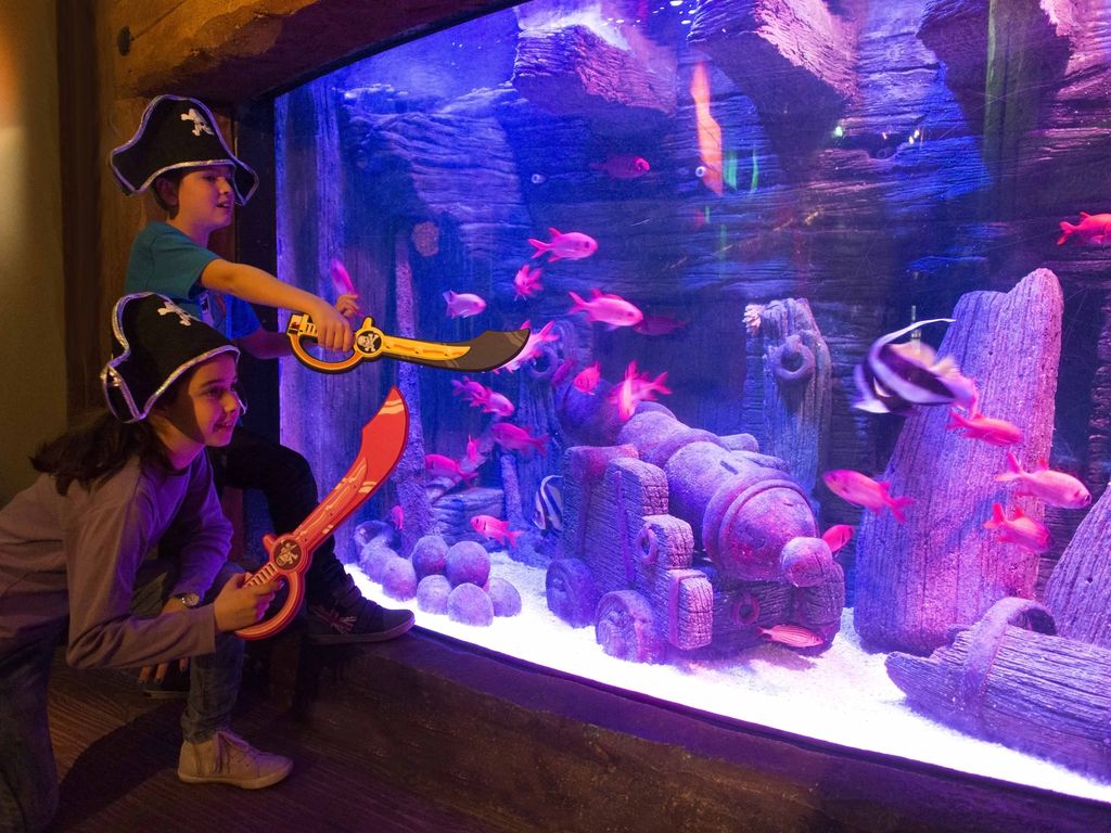 Gardaland SEA LIFE Aquarium Carnevale 2018
