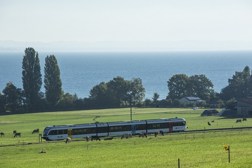 Bodensee