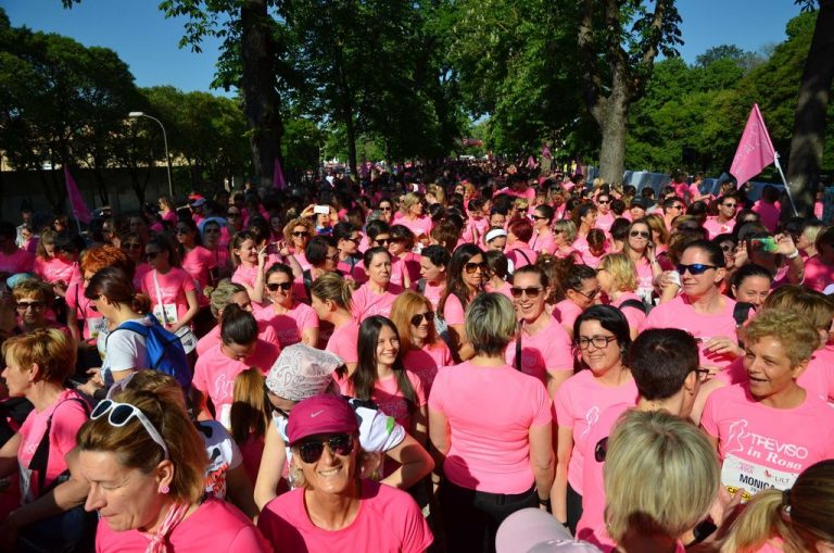 Treviso in Rosa