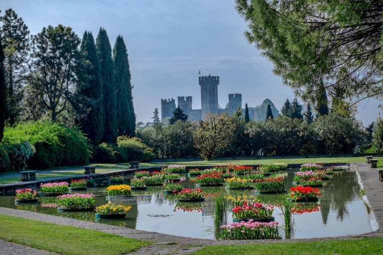 Tulipanomania 2018