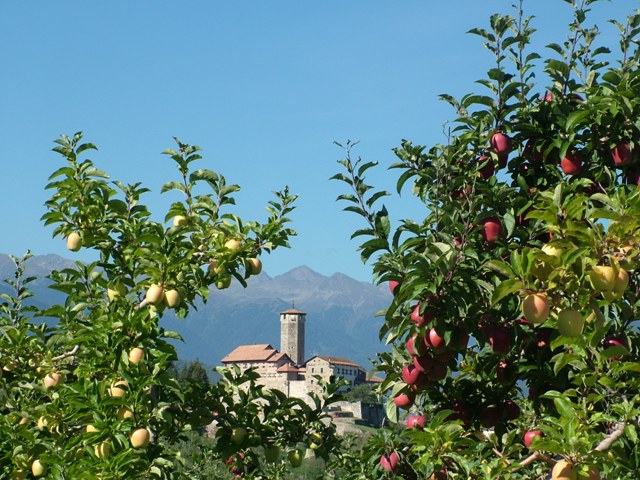 Quattro Ville in Fiore