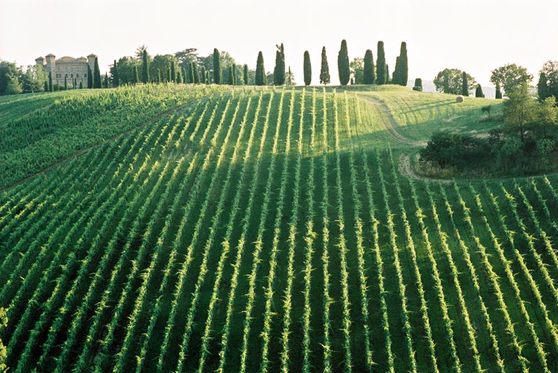 Destinazione Turistica Emilia - Albinea - Credit Riccardo Varini