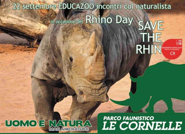 Educazoo e la giornata mondiale del rinoceronte