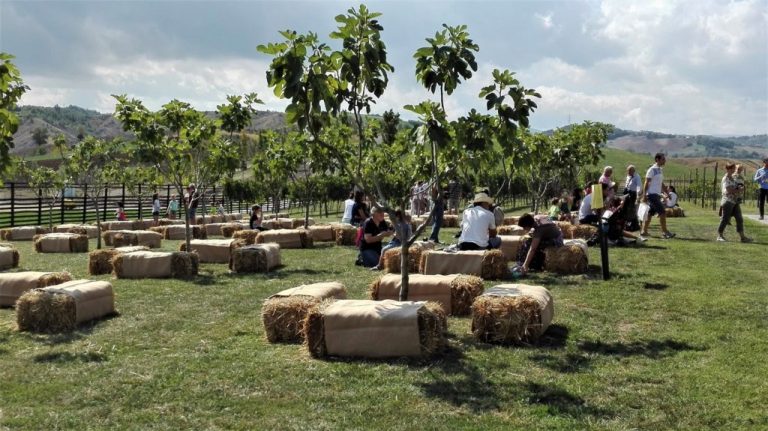 Rural Festival