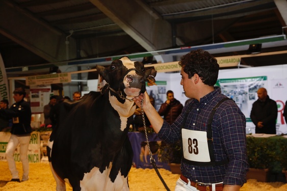 Fiera agricola di Codogno