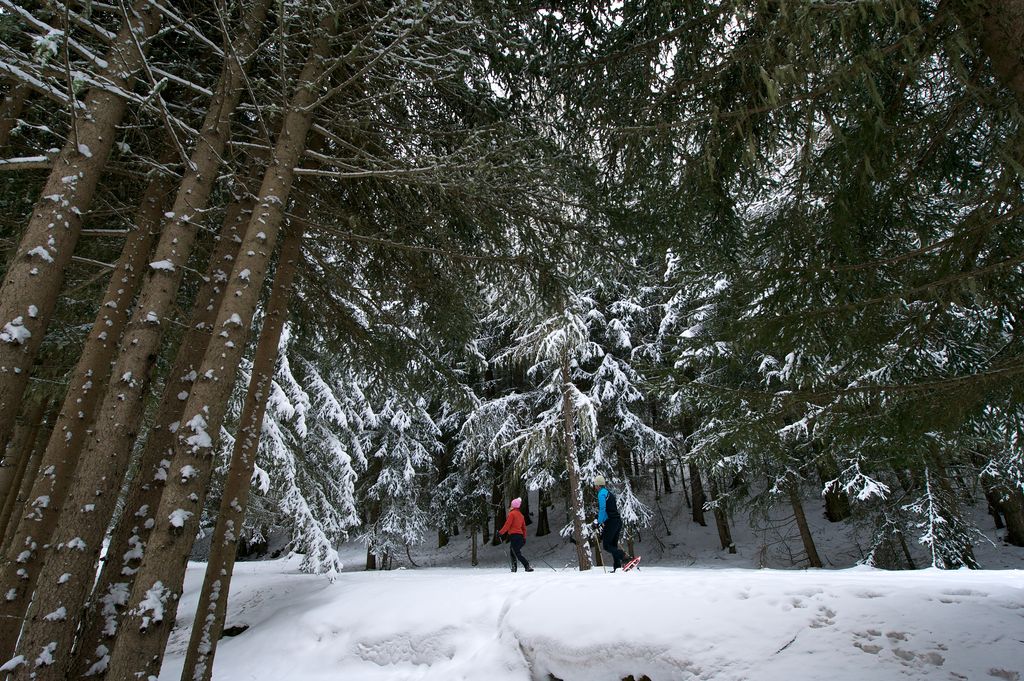 Inverno a Cogne