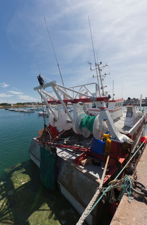 Normandia Barfleur
