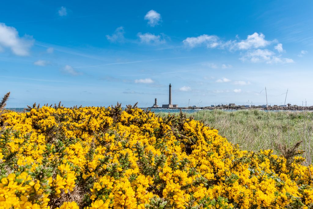 Normandia, il faro di Gatteville