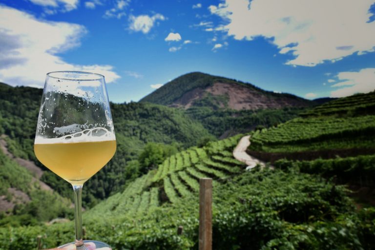 Settimana della birra artigianale