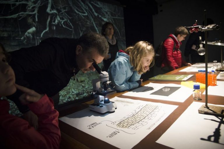 Food & Science Festival