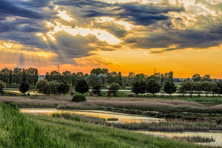 Festival Euphonie – suoni e natura