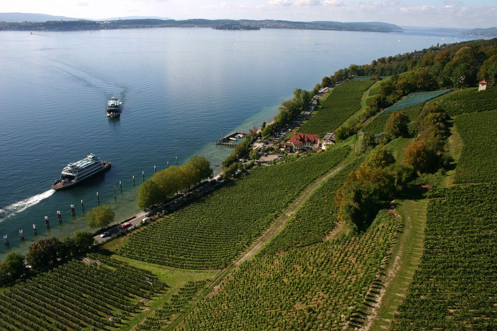 Vigneti Meersburg credits@IBT