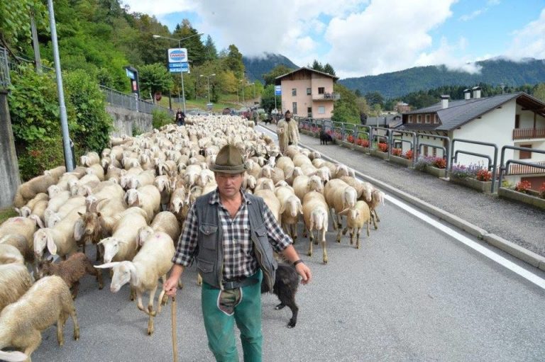 Festa della Transumanza