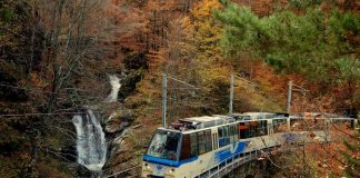 treno del foliage