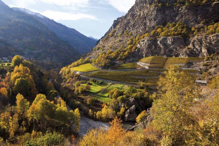 Vins Extrêmes: Esposizione dei migliori vini d’alta quota