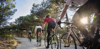 Varia Radar 2020 garmin