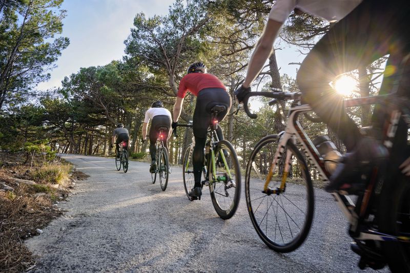 Varia Radar 2020 garmin