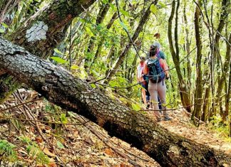 Umbria Crossing Outdoor Festival è un mare di esperienze outdoor tra Trail, MTB e Trekking
