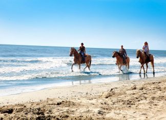 Barricata Ranch: a cavallo tra il mare e il delta Villaggio Barricata