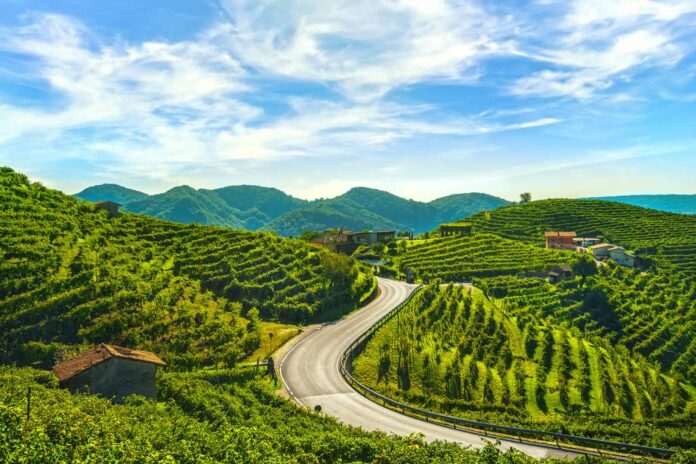 Itinerari enogastronomici in camper