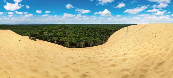 Dune in camper