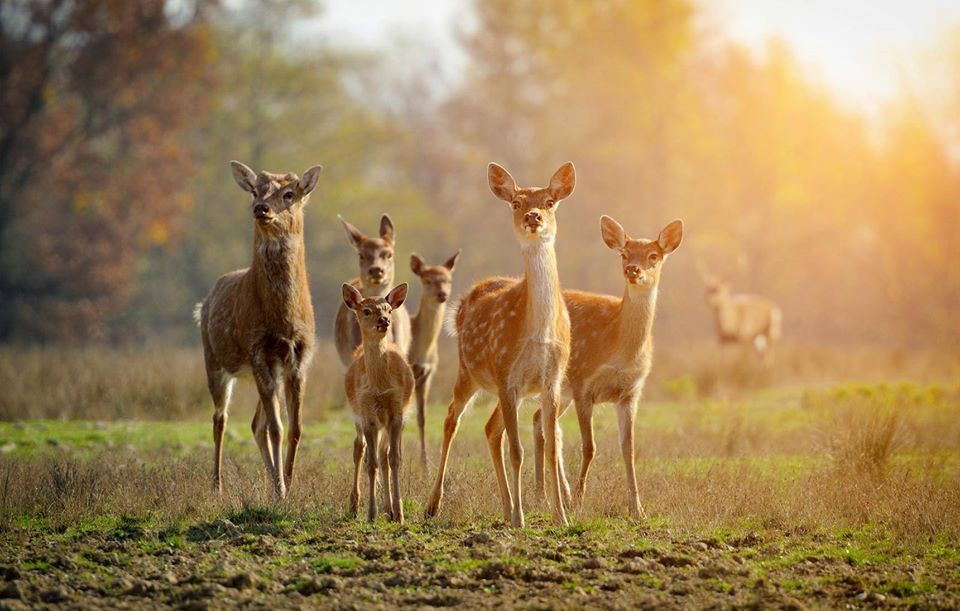Città della Domenica Il parco nella natura