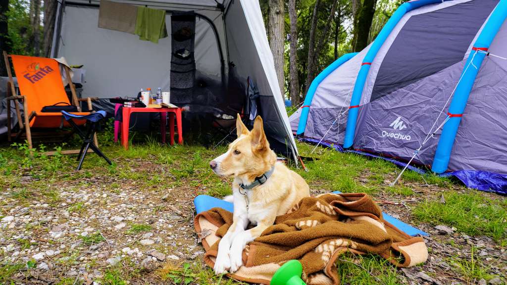 camping grado