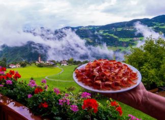 Campeggi enogastronomia