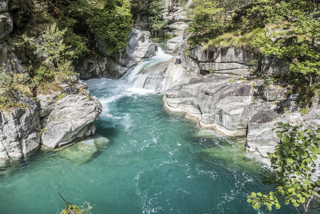 bagno nella wilderness