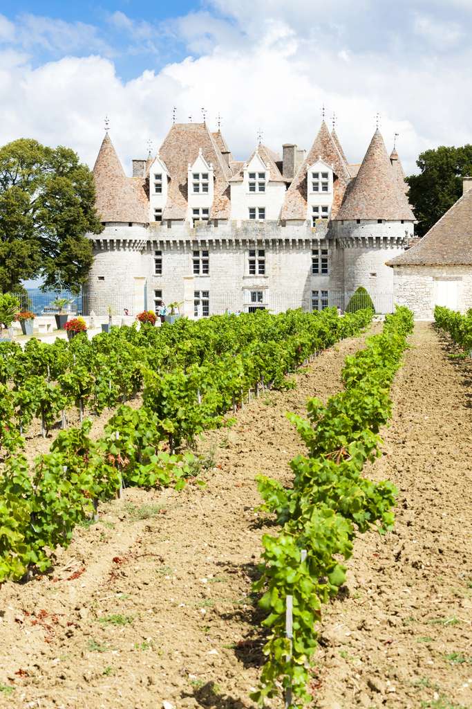 Francia camper