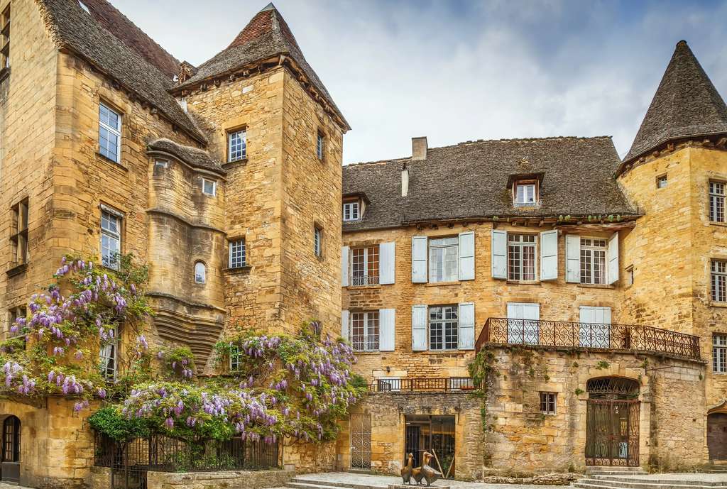 Francia camper