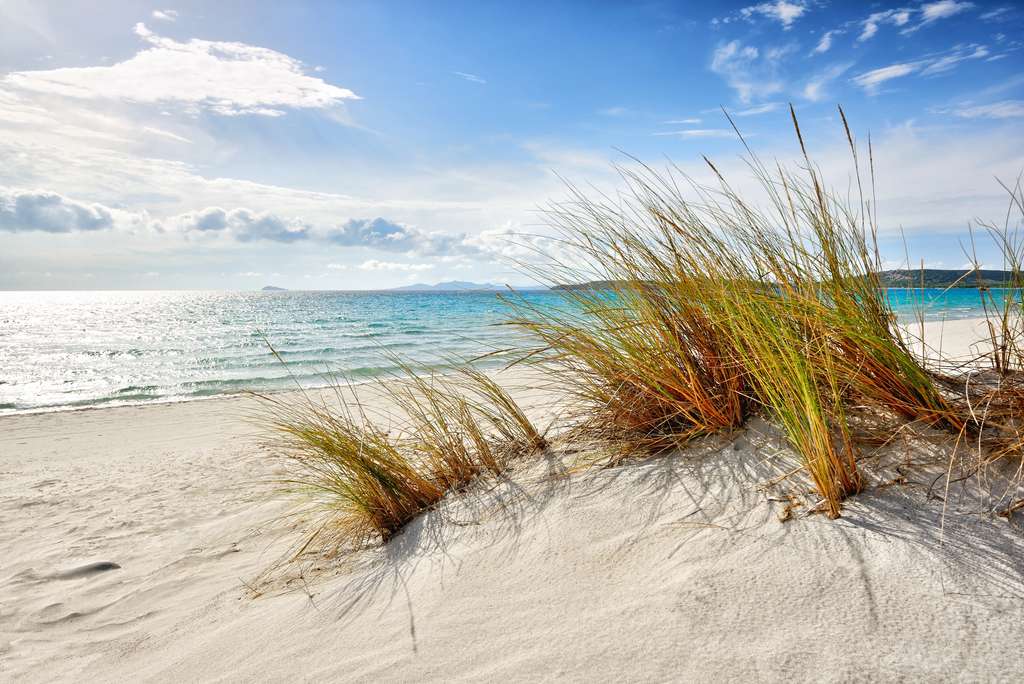Sardegna camper