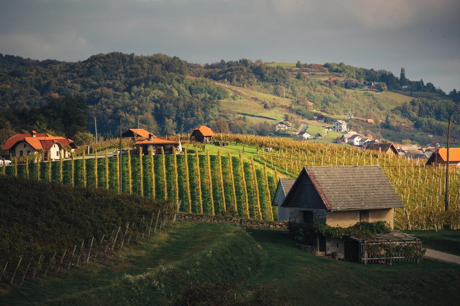 Slovenia meta autunno