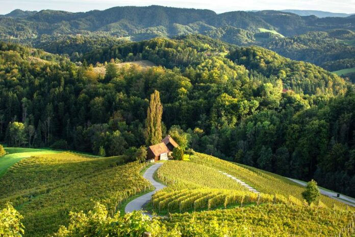 Slovenia meta autunno