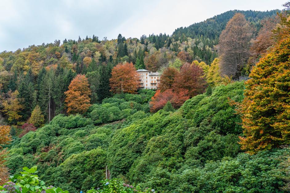 Foliage Italia