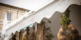 Distinti Salumi 2026 a Cagli: date, programma e protagonisti della norcineria artigianale italiana