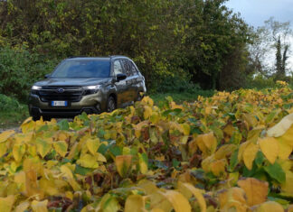 Test Drive Subaru Forester: l’evoluzione di un mito