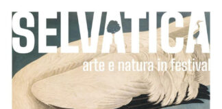 Selvatica 2026 a Biella: il festival dedicato ad arte e natura