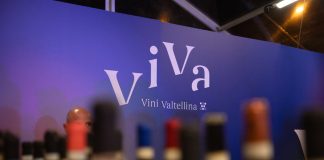 ViVa 2026: torna a Sondrio l’evento dedicato ai Vini di Valtellina e al Nebbiolo delle Alpi