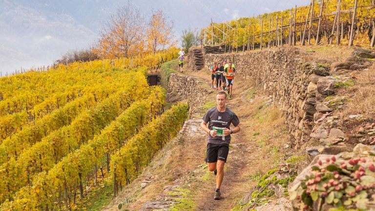 Rigamonti Valtellina Wine Trail 2026: 7 novembre, tra vigneti, cantine e borghi della Valtellina