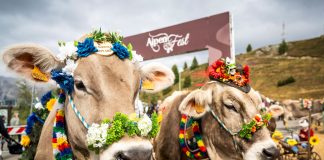 Alpenfest 2026: a Livigno la tradizione alpina torna a vivere
